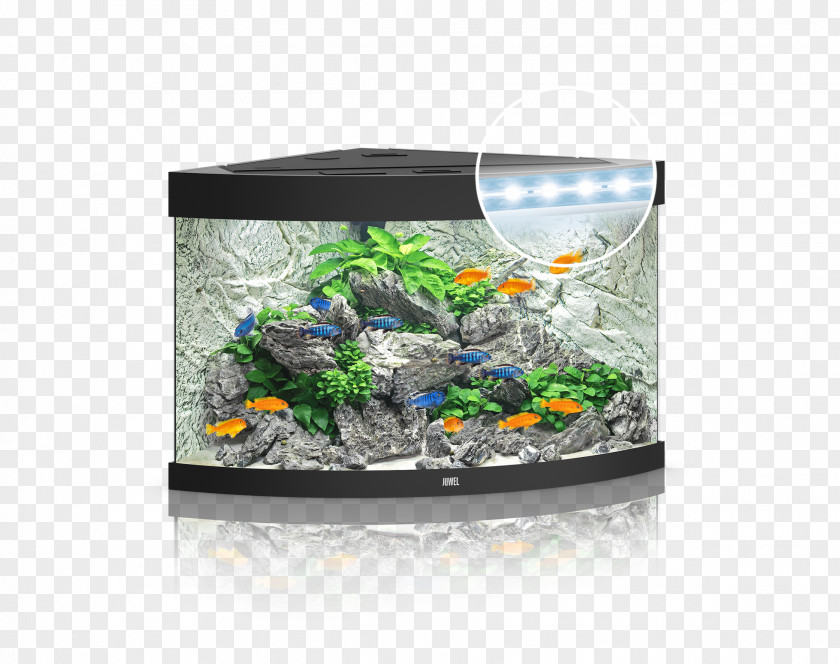 Light Aquarium Lighting Light-emitting Diode PNG