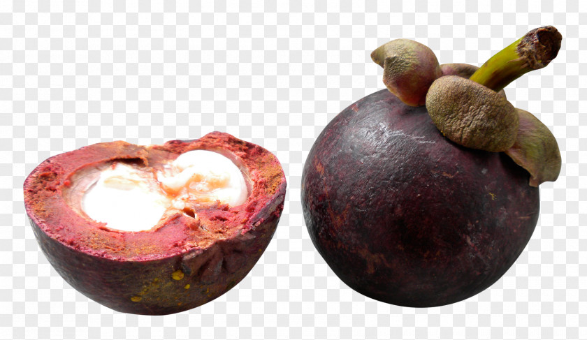 Purple Mangosteen RGB Color Model PNG