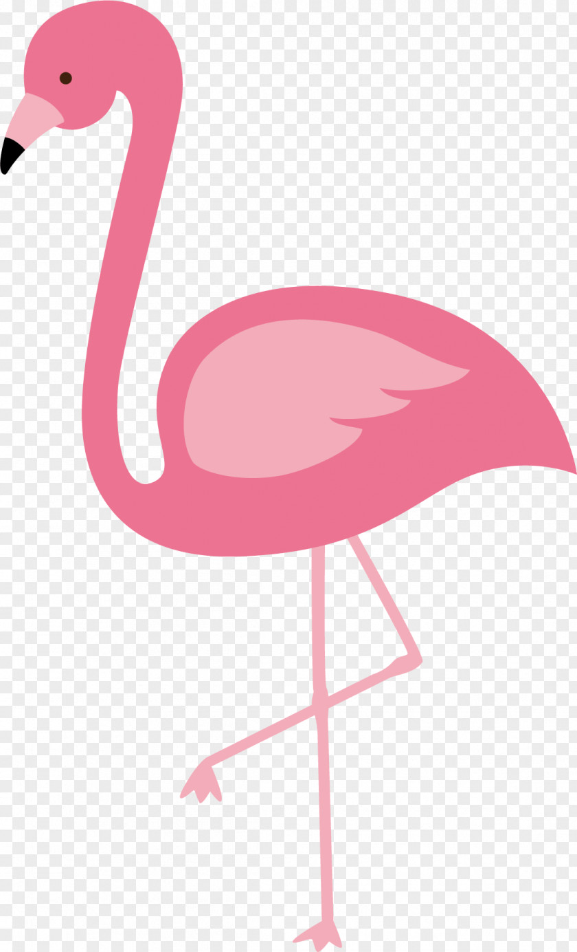 Red Flamingo Vector Flamingos Bird Euclidean PNG