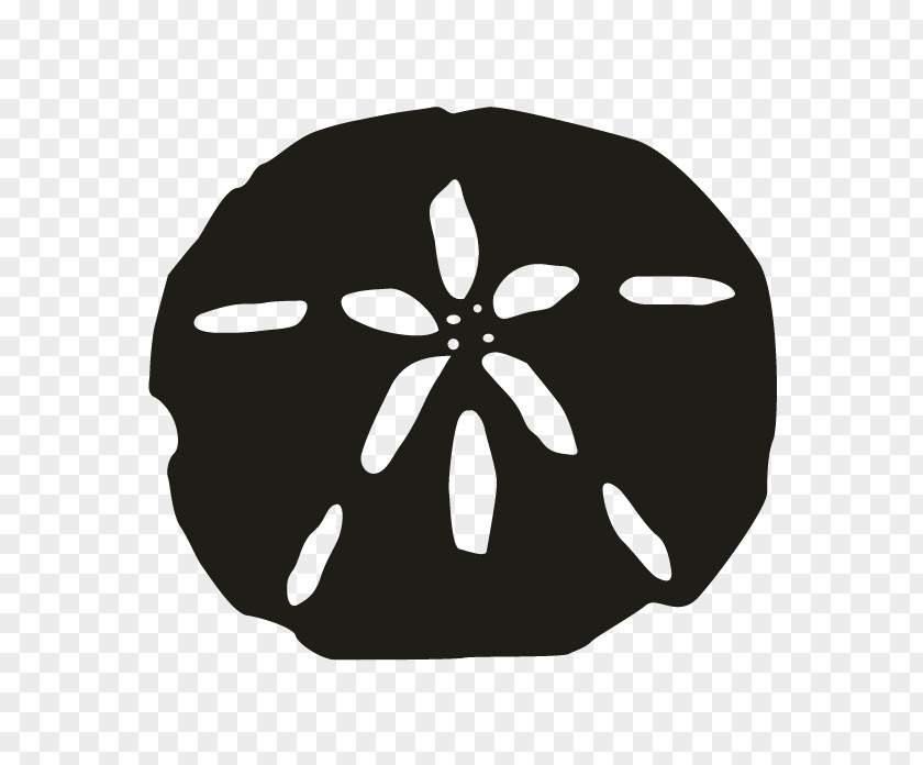 Silhouette Sand Dollar WPRB PNG