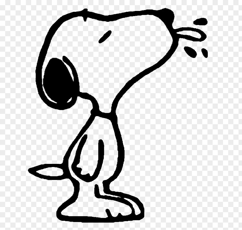 Snoopy Woodstock Charlie Brown Peanuts Comics PNG