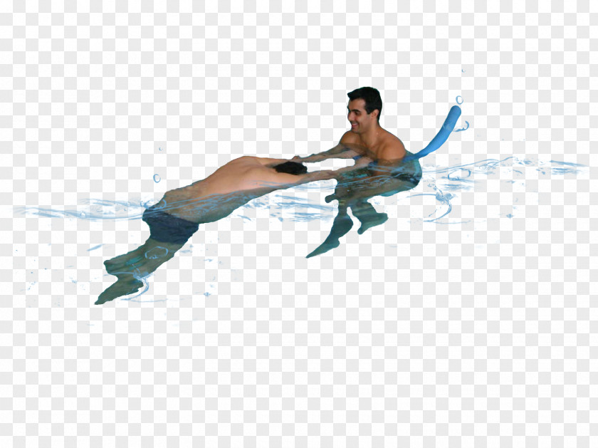 Swimming Water Aerobics Joint Endurance Muscle PNG