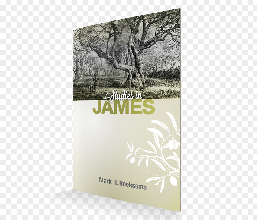 Book Studies In James James, Acts, Epistle To The Hebrews PNG