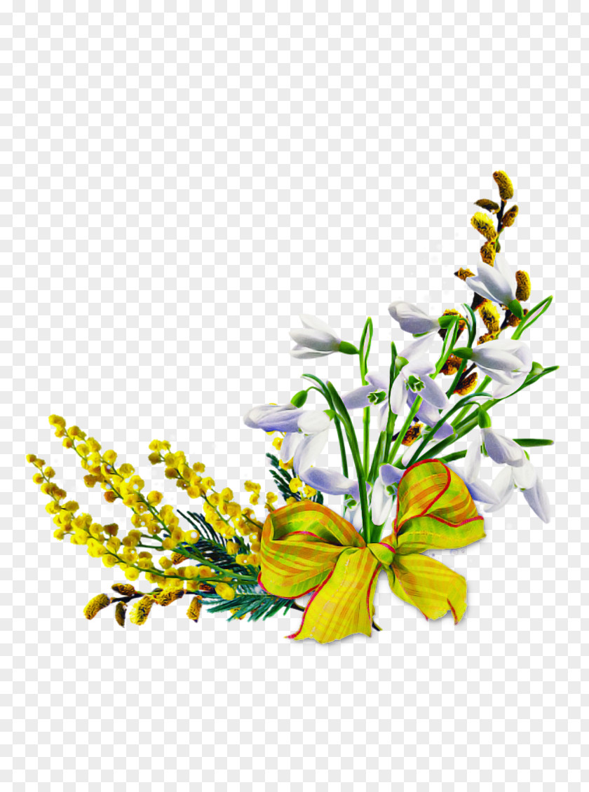 Flower Cut Flowers Plant Yellow Bouquet PNG
