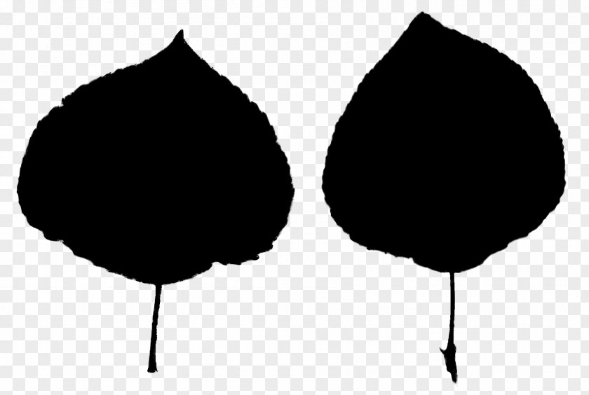 M Leaf Silhouette Line Tree Black & White PNG