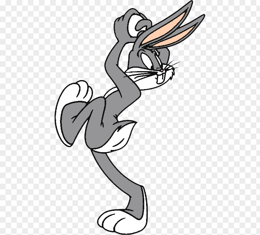 Rabbit Bugs Bunny Daffy Duck Animated Cartoon Drawing Desktop Wallpaper PNG