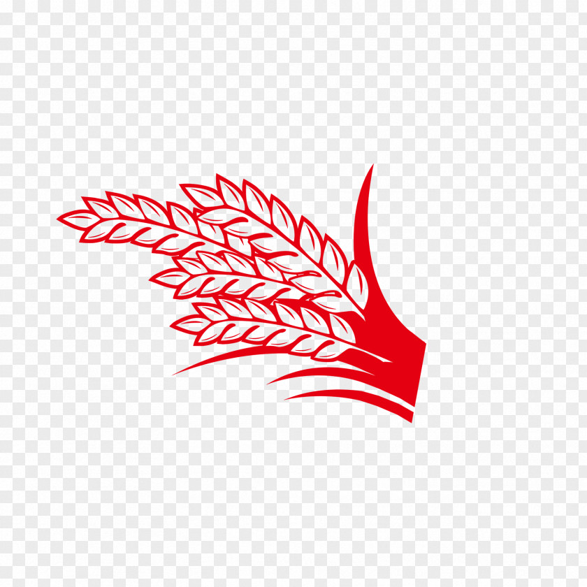 Wheat Elements Rice Paddy Field PNG