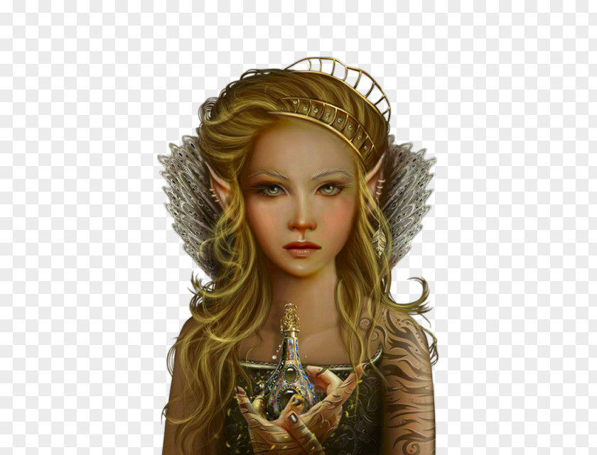 Fairy Elf Magic Fantasy Fiction Duende PNG