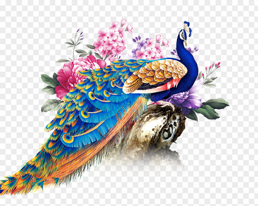 Feather Peafowl Clip Art Desktop Wallpaper Image PNG
