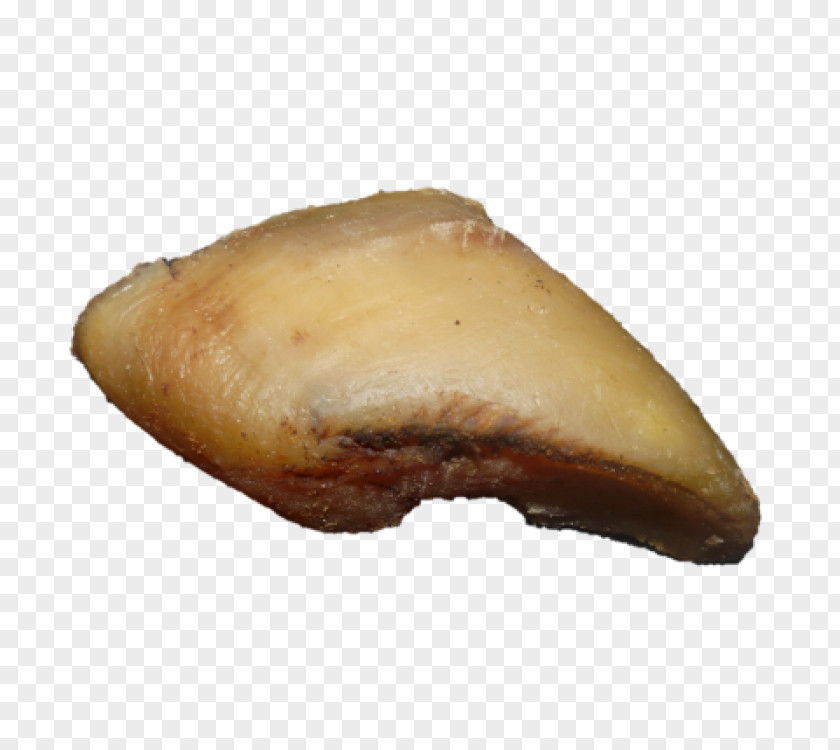 Pig Cattle Hoof Beef Dog PNG