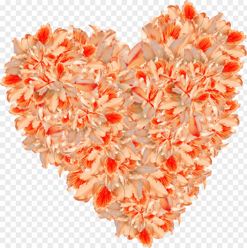 Beautiful Orange Flowers Heart Flower PNG