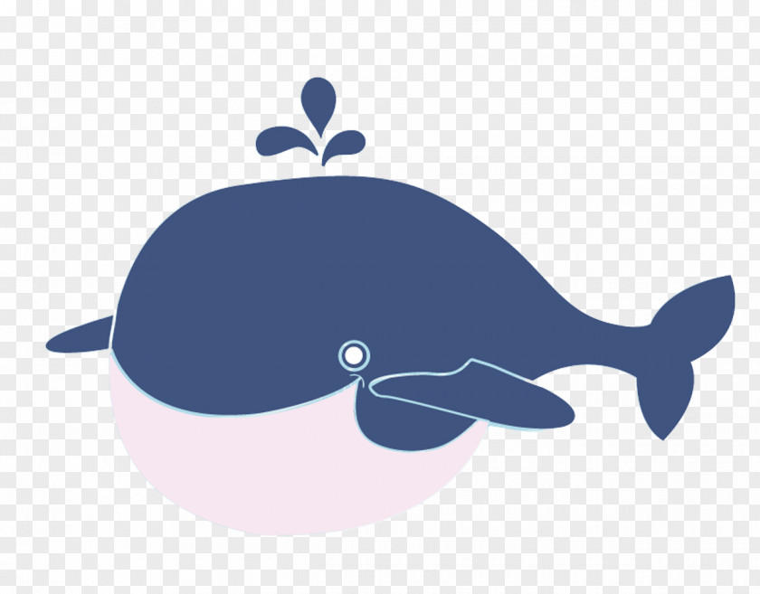 Cute Whale Cartoon Poster PNG