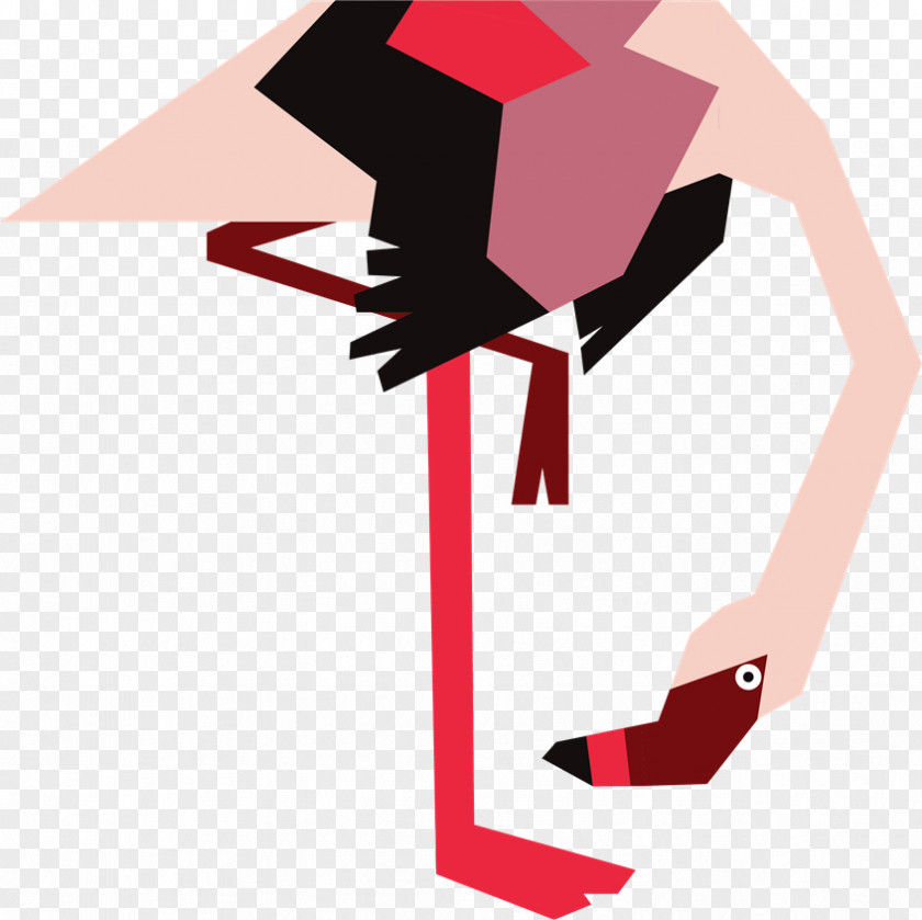 Flamingos Clip Art Artist Illustration Pony PNG