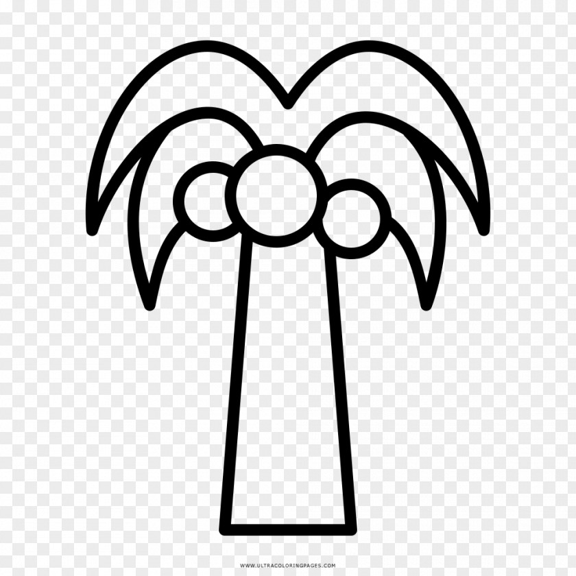 Dante Coco Drawing Coloring Book Coconut Tree Black And White PNG
