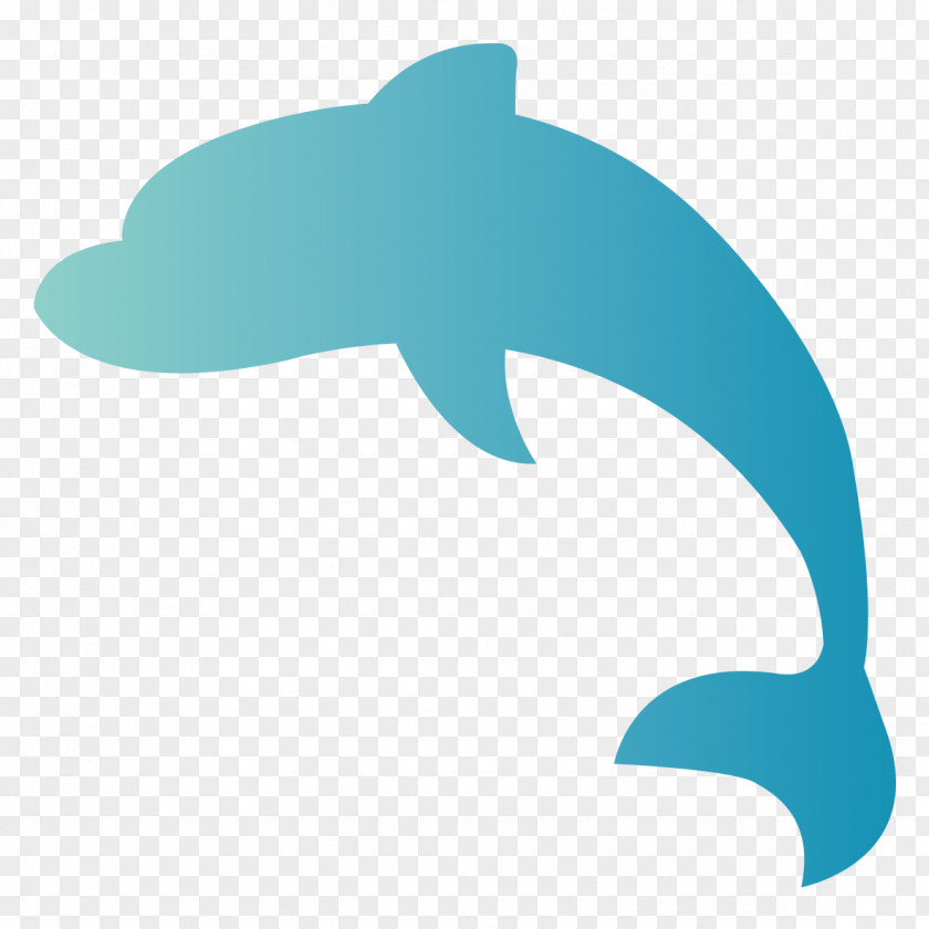 Dolphin Common Bottlenose Clip Art Product Design Marine Biology PNG