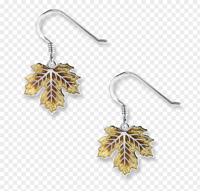 Jewellery Earring Body PNG