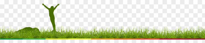 Juice Up Wheatgrass Desktop Wallpaper Computer Commodity PNG