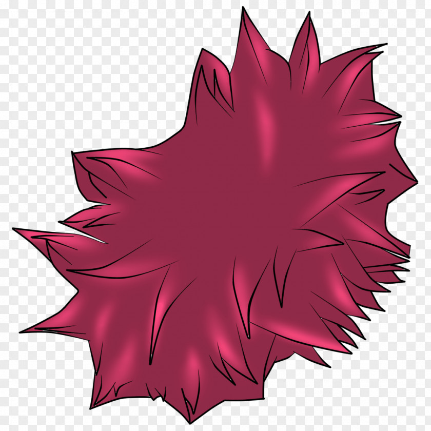 Leaf Maple Flower PNG