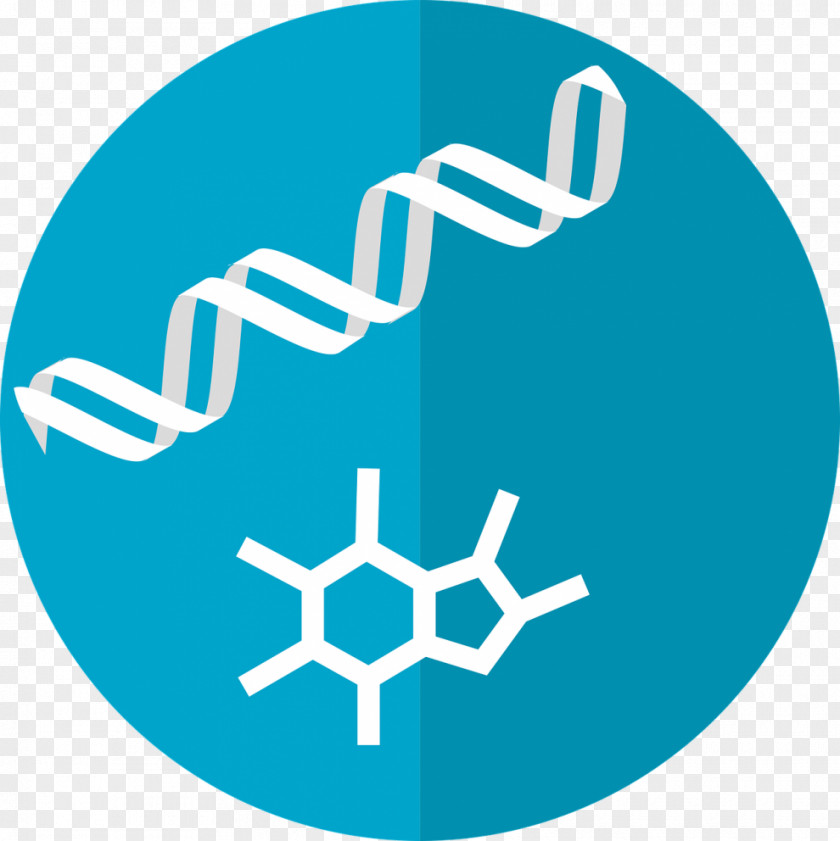 Mist Shrouded Metabolomics Congress 2018 Metabolome Metabolism Image PNG