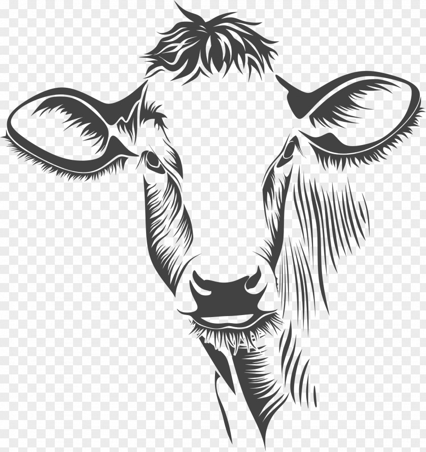 Silhouette Holstein Friesian Cattle Charolais Gelbvieh Line Art Clip PNG