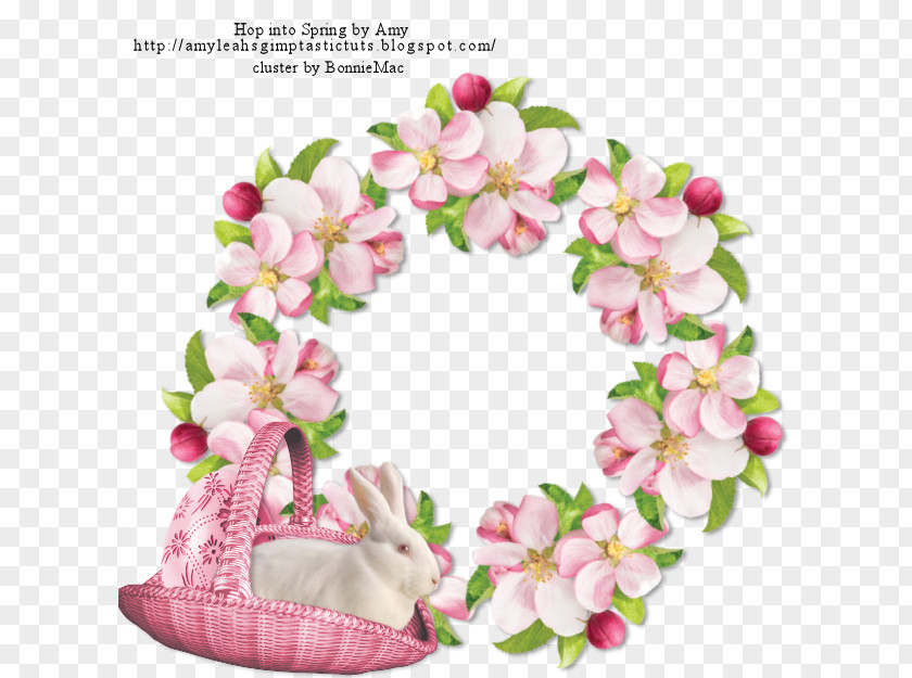 Spring Plant Floral Flowers PNG