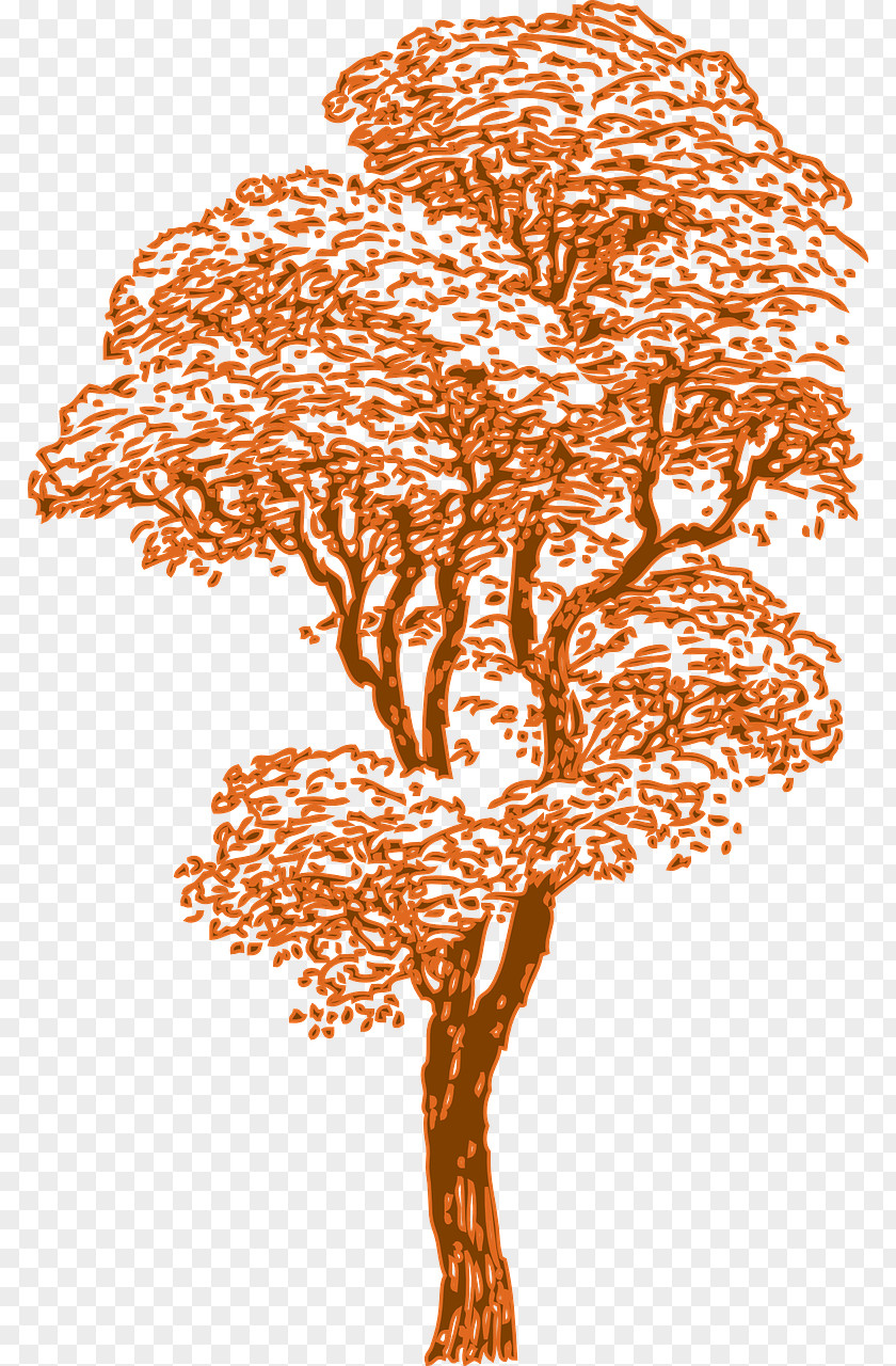 Tree Clip Art Drawing Vector Graphics Image PNG