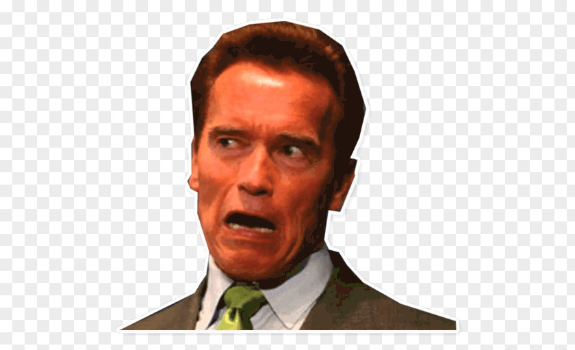 Arnold Schwarzenegger Internet Meme Chin PNG meme Chin, arnold schwarzenegger clipart PNG