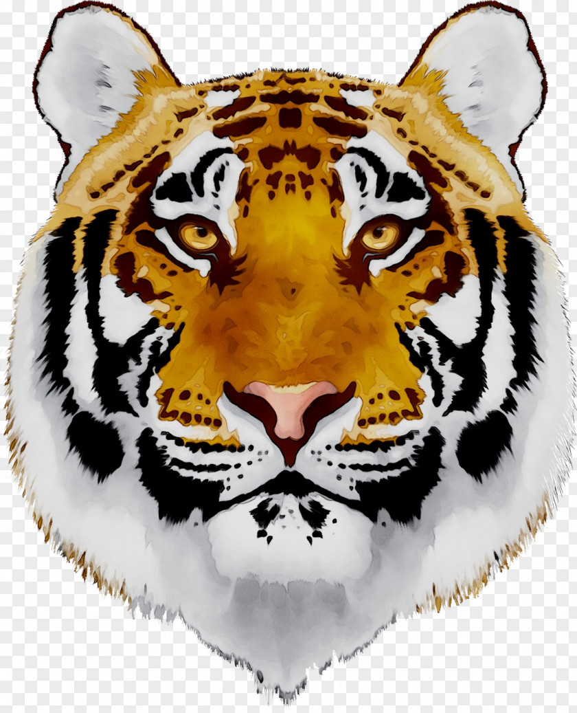 Cat Lion Vector Graphics Image Bengal Tiger PNG