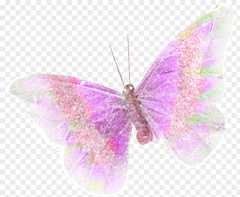 Lavender Butterfly Purple Lilac PNG