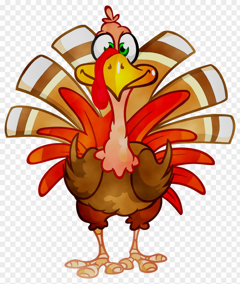 Macy's Thanksgiving Day Parade Turkey Meat Clip Art Vector Graphics PNG
