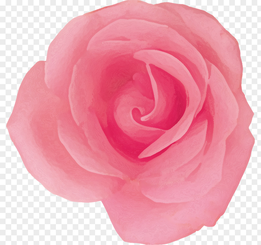 Magenta Camellia Pink Flower Cartoon PNG