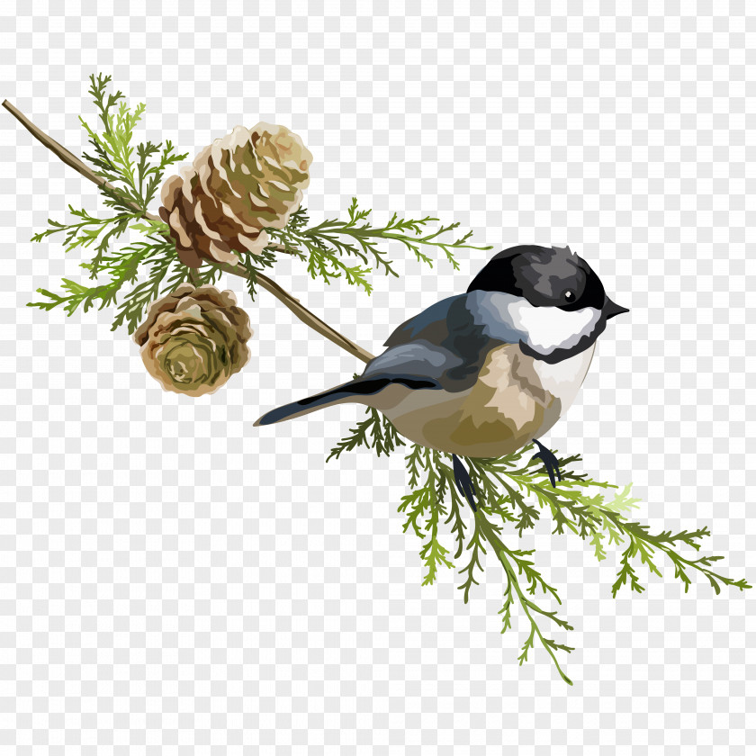 Pine Trees And Birds Stock Illustration PNG