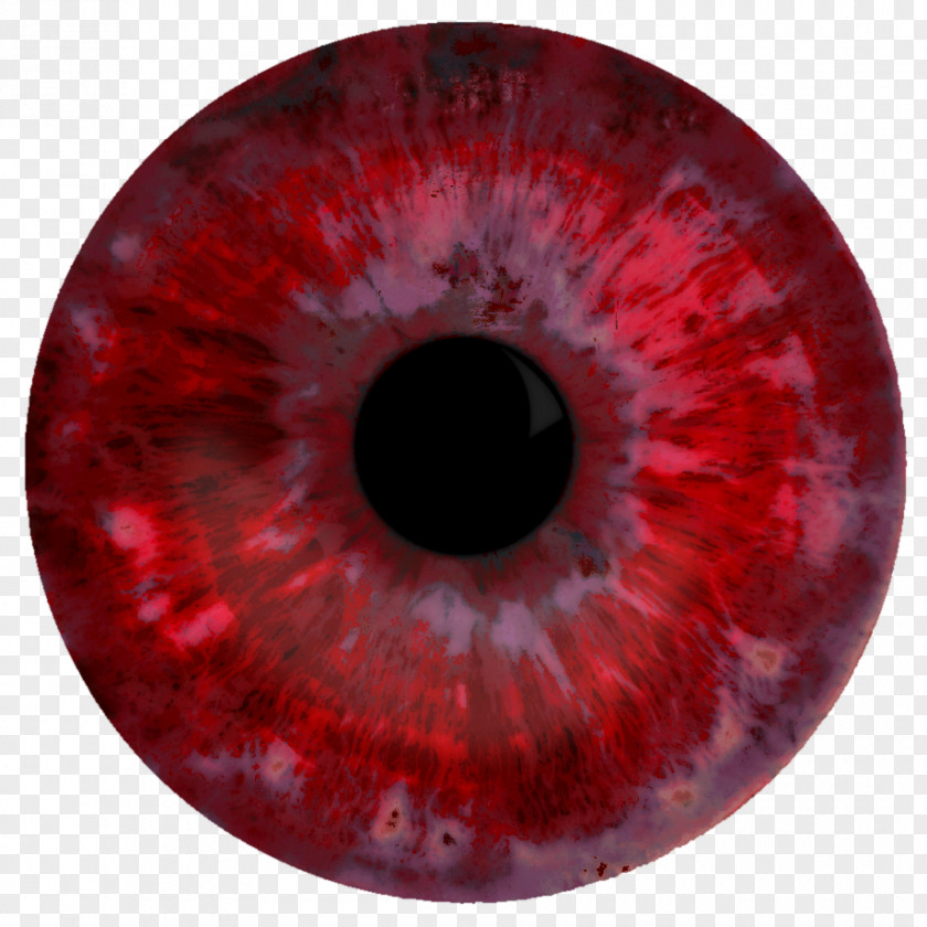 Red Eye Iris Organ Pupil PNG eye Pupil, eyes, red eyeball clipart PNG