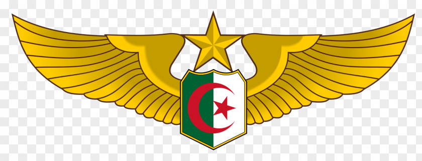 Air Force Algerian People's National Armed Forces Military PNG