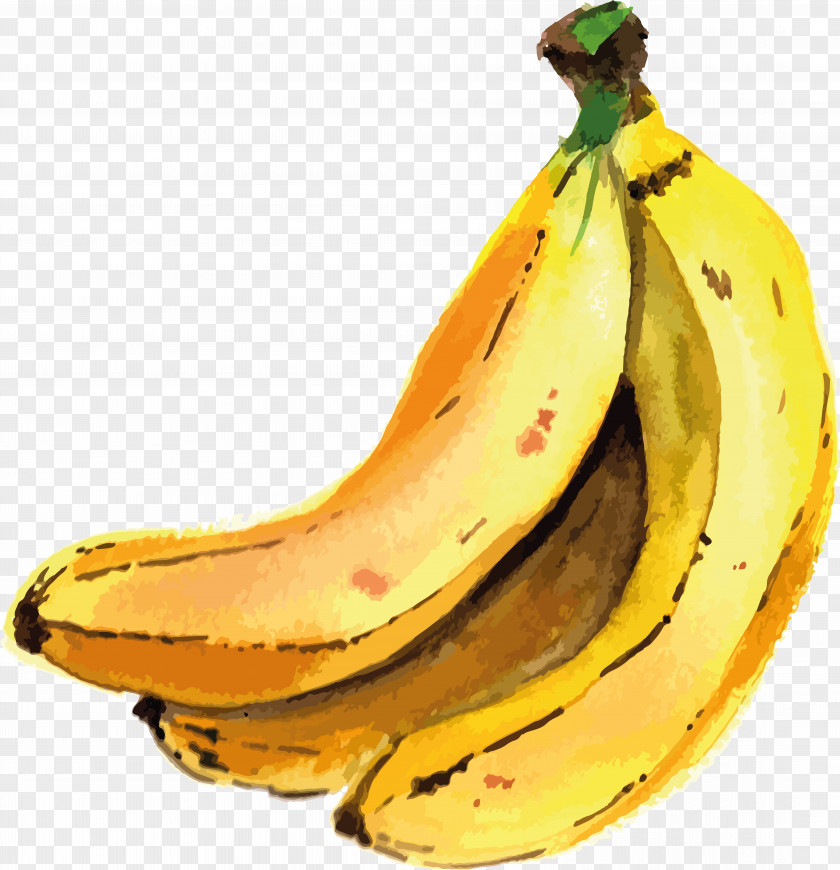 Banana Saba Cooking Clip Art PNG