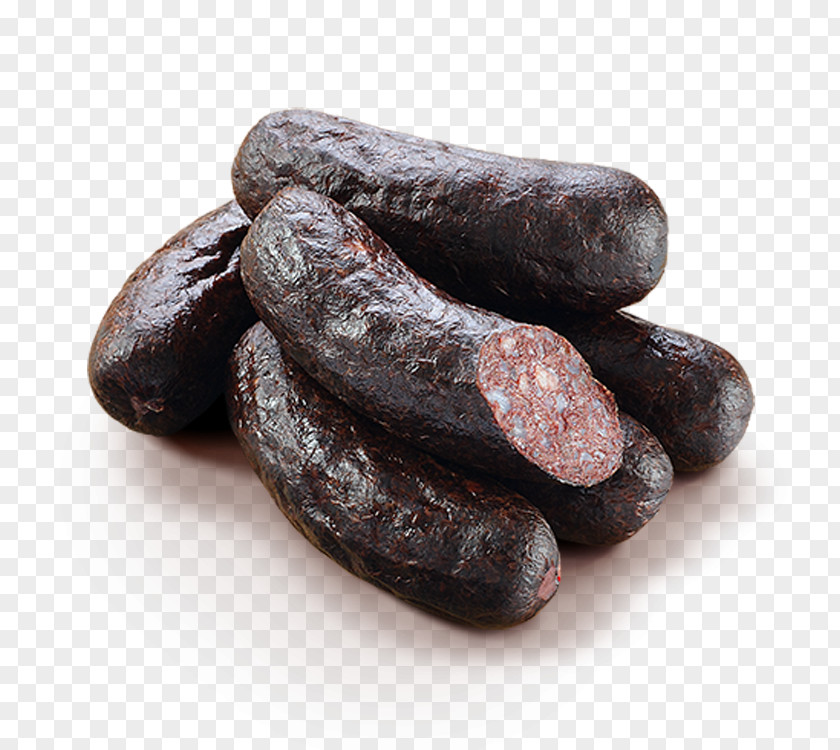 Blood Sausage Mettwurst Knackwurst Kaszanka Kishka Cervelat PNG