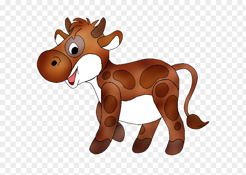 Calf Cattle PNG