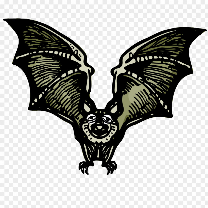 Cartoon Bat Drawing PNG