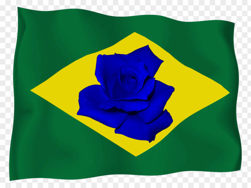 Flag Of Brazil Bible PNG