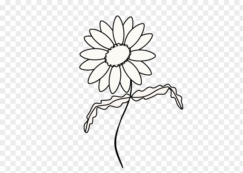 Painting Drawing Common Daisy Line Art Clip Sketch PNG