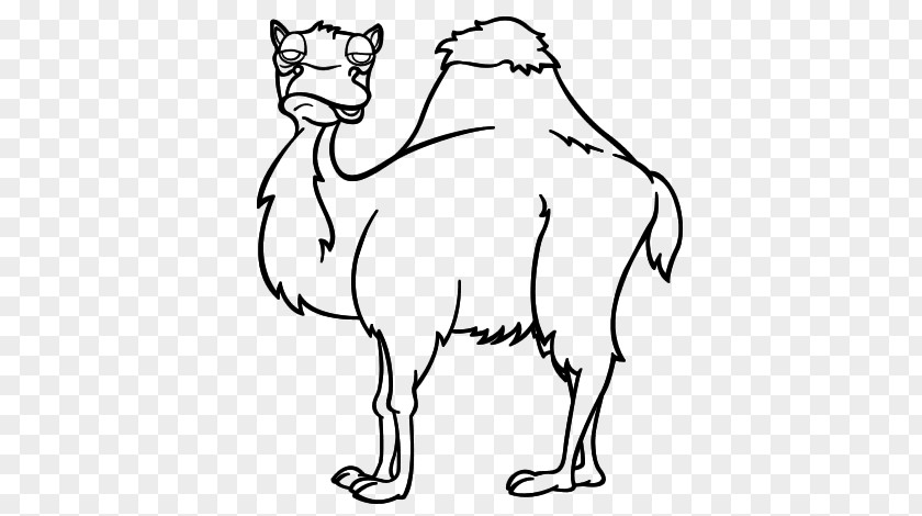 Painting Dromedary Bactrian Camel Drawing Coloring Book Whiskers PNG