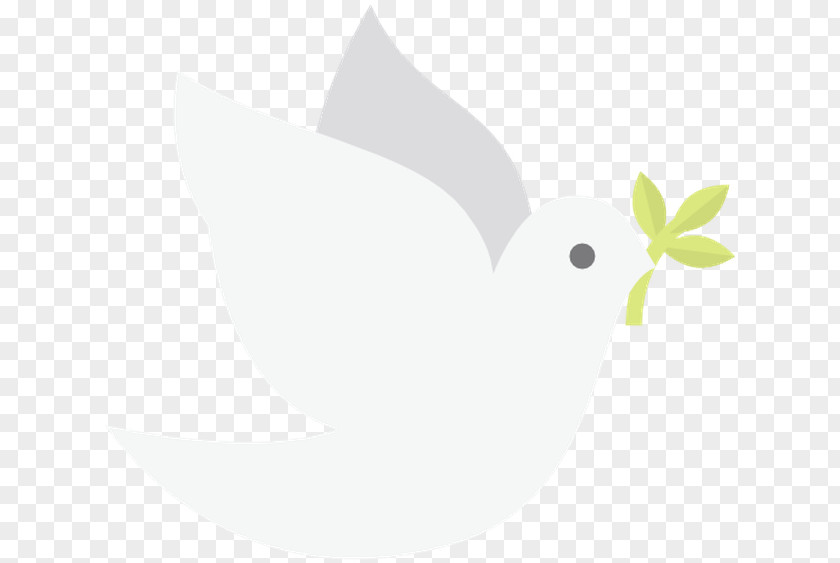 Plant White Cartoon Bird PNG