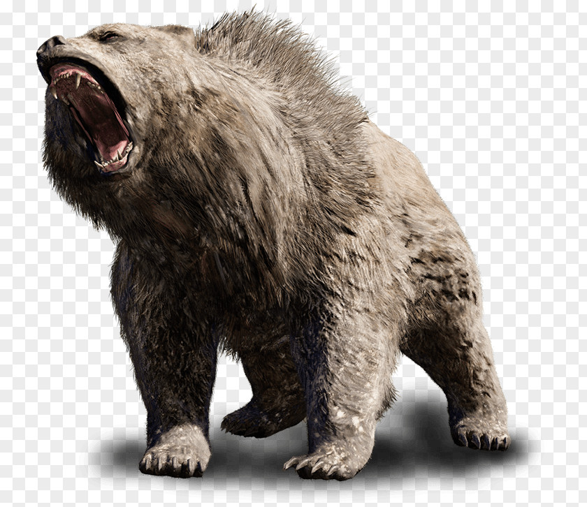 Bear Far Cry Primal Brown Cave Tiger PNG