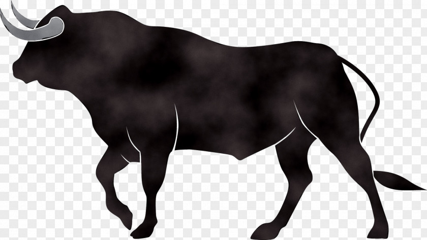 Dairy Cattle Bull Ox Bou En Corda 0 PNG