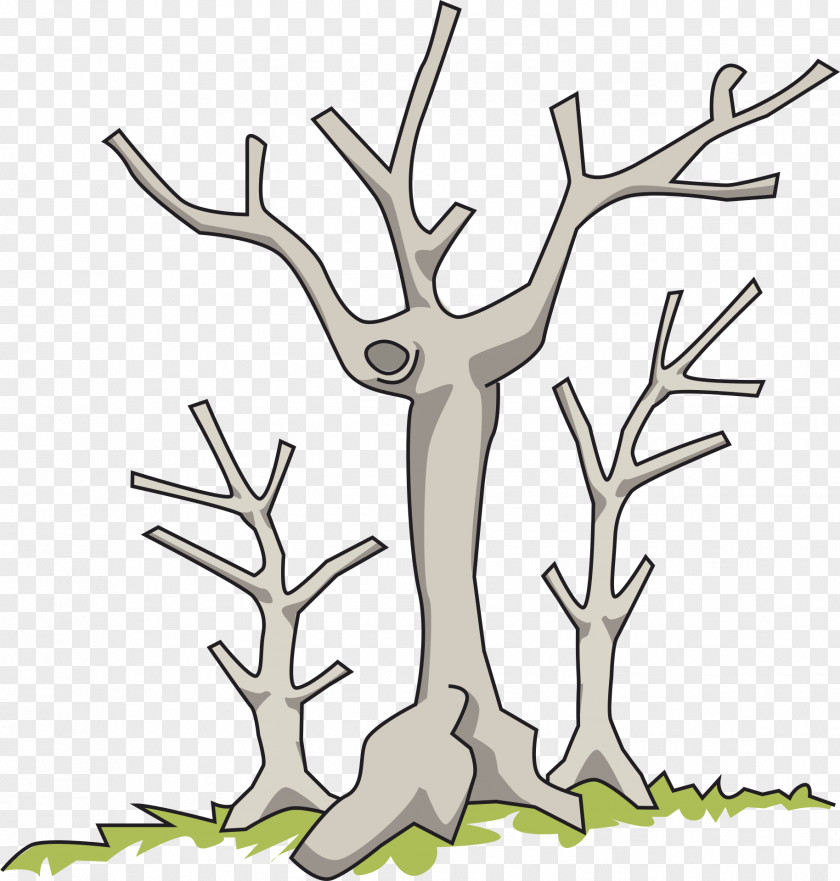 Dead Tree Branch Clip Art PNG