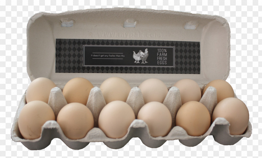 Egg Carton PNG