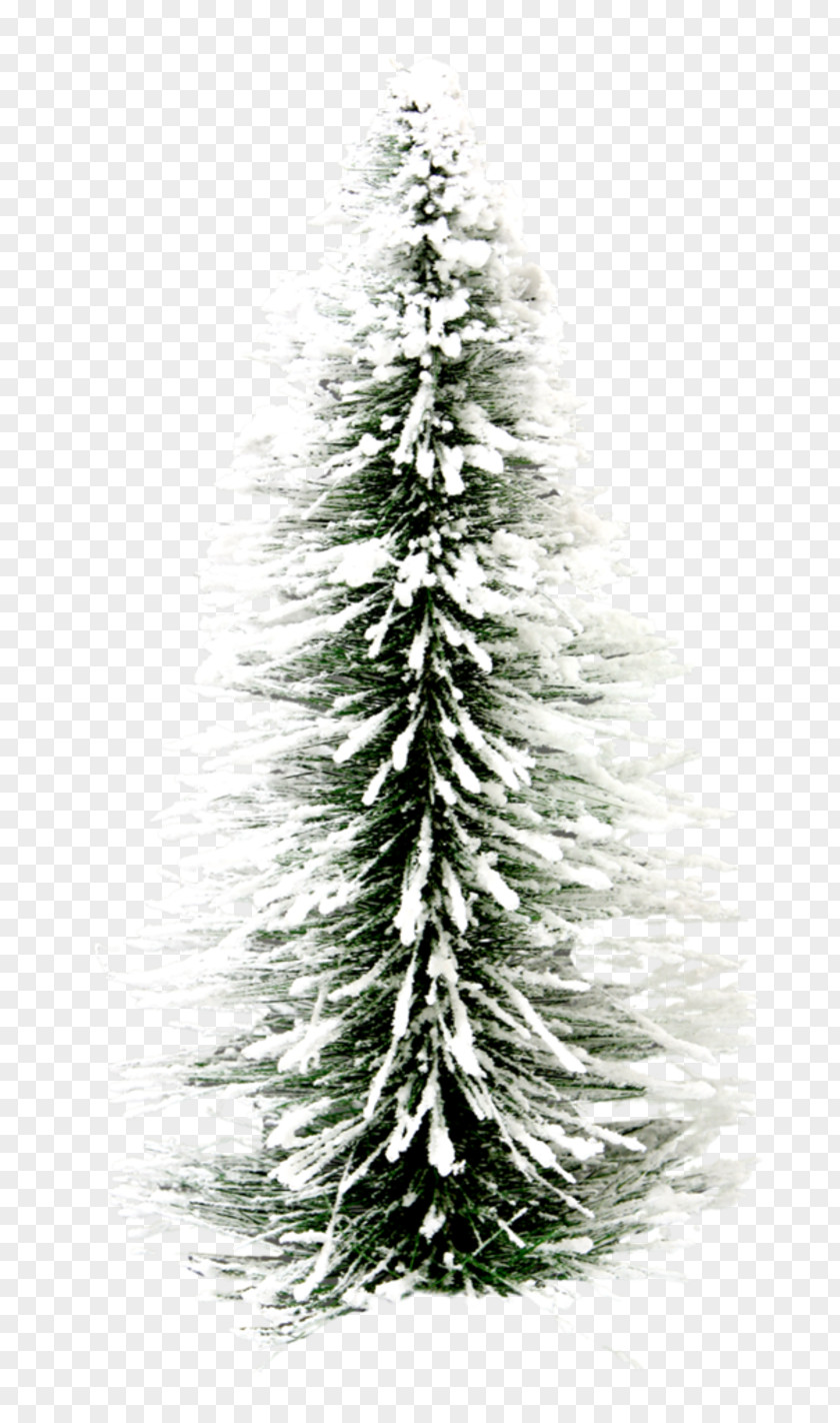 Fir-tree Christmas Lights Desktop Wallpaper Display Resolution PNG