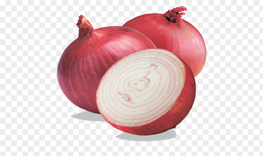 Onion Free Image India Red Shallot Organic Food White PNG
