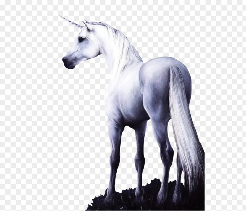 Stone Horse Sculpture Unicorn PNG