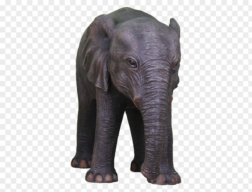Elephant Motif Indian African Terrestrial Animal Wildlife PNG